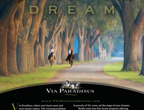 Via Paradisus Print Ad Design